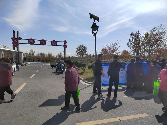 4.9桃花源活动3.jpg
